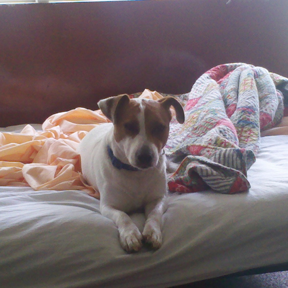 Meet your Posher, Aamie - Picture 7 of 8